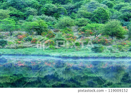 Kakumanbuchi, where azaleas bloom and the leaves are fresh Kakumanbuchi, where azaleas bloom and the leaves are fresh 119009152
