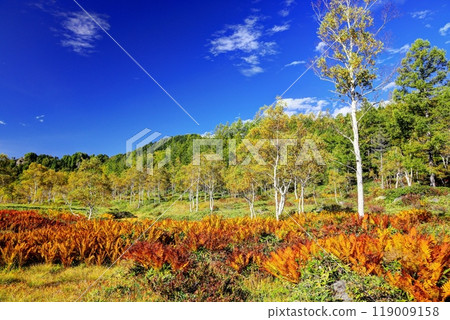 Tanohata Marsh in early autumn 119009158