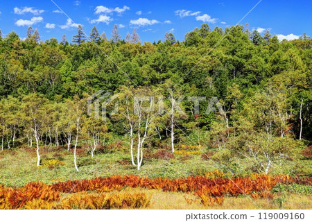 Tanohata Marsh in early autumn 119009160