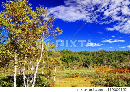 Tanohata Marsh in early autumn 119009162