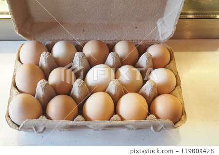 Fresh Eggs in a Carton, Presenting a Gorgeous and Beautiful Variety of Colors to Choose From Fresh Eggs in a Carton, Presenting a Gorgeous and Beautiful Variety of Colors to Choose From 119009428