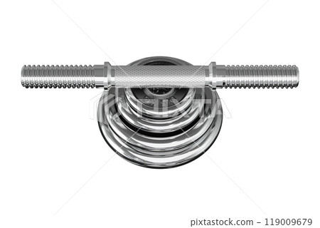 Parts of cast iron Chrome Adjustable Dumbbel, rod and weight plates 119009679