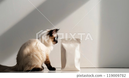 A fluffy cat sits patiently in front of a sleek, unlabeled pouch of cat food, basking in warm sunlight coming through the window, creating a calm atmosphere 119009782