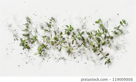 Fresh thyme plants are artistically arranged on a clean, white surface, highlighting their vibrant green color and fine textures, capturing the essence of nature 119009808