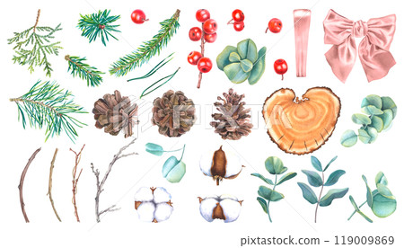 Watercolor set of winter christmas plants. Hand drawn botanical illustration of spruce twigs, eucalyptus, holly berries, pine cones, cotton on isolated background. For 2025 New Year greeting cards. 119009869