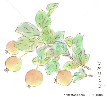 秋季植物，可愛的小希梅林蘋果果的水彩插圖 119010086