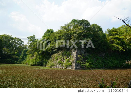 Yamatokoriyama castle 119010244