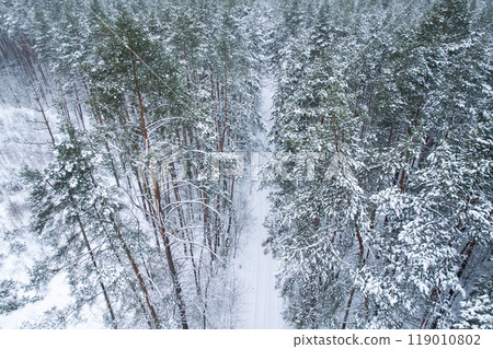 Pine and fir trees forest covered in snow. Aerial landscape from drone view. Christmas is coming. Cold frosty winter season nature background. View from above 119010802