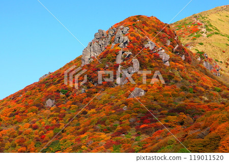 Autumn at Mount Hosho (Kuju Mountains, Kokonoe Town, Oita Prefecture) 119011520