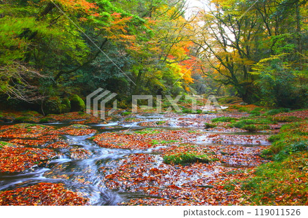 Kikuchi Valley in autumn (Kikuchi City, Kumamoto Prefecture) Kikuchi Valley in autumn (Kikuchi City, Kumamoto Prefecture) 119011526
