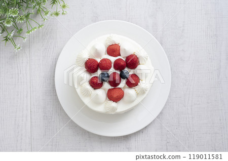 草莓裝飾蛋糕 119011581