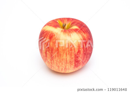 San Tsugaru (Leafless Apple) 119011648