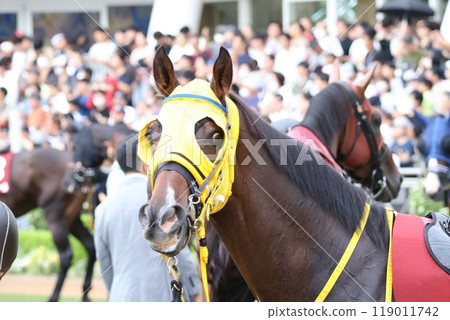 Egoistic horse Egoistic horse 119011742