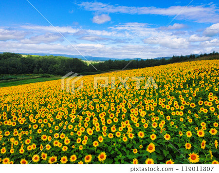 航拍照片 119011807