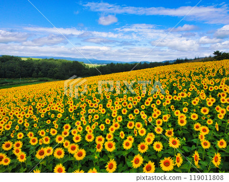 航拍照片 航拍照片 119011808