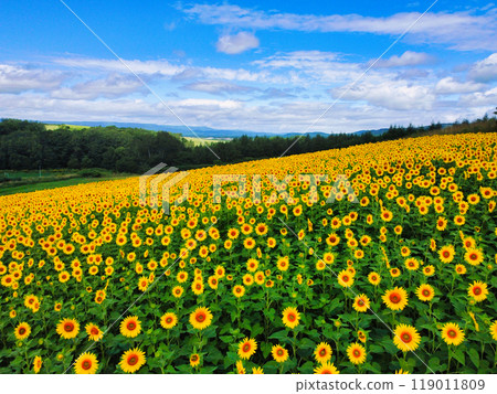 航拍照片 119011809