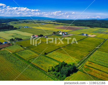 Aerial walk 119012166