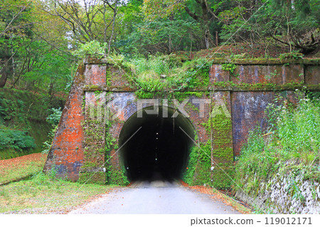 Scenery of the old Hokuriku Main Line mountain tunnel in Fukui Prefecture 119012171