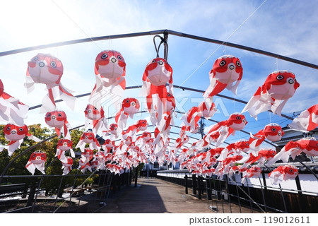 柳井金魚元宵節2744 柳井金魚元宵節2744 119012611