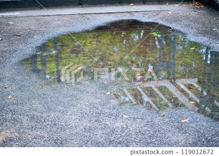 Puddle 119012672