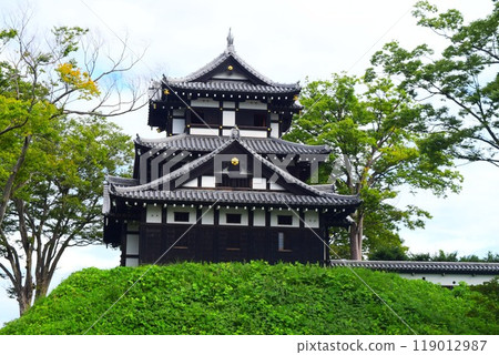 [Continued Top 100 Castles in Japan] Takada Castle 119012987