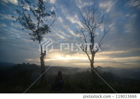 Natural background of silhouette of dry trees and sky view with clouds in twilight time. 119013666