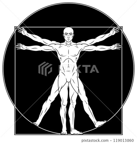 Vitruvian man human body proportion Vitruvian man human body proportion 119013860
