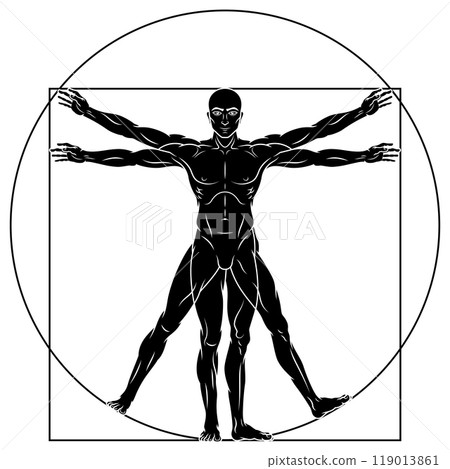 Vitruvian man human body proportion Vitruvian man human body proportion 119013861