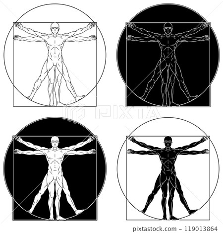 Vitruvian man human body proportion 119013864