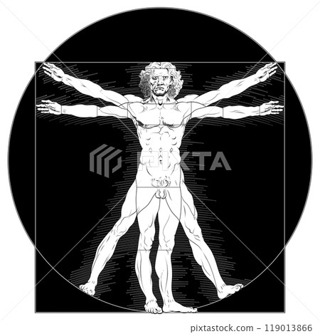 Vitruvian man human body proportion 119013866