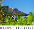 Hawaii Waikiki 119014151