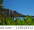 Hawaii Waikiki 119014152