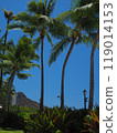 Hawaii Waikiki 119014153