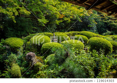 【京都風景】紫仙堂、靜謐的庭園 【京都風景】紫仙堂、靜謐的庭園 119014303