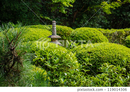 【京都風景】紫仙堂、靜謐的庭園 119014306