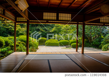 【京都風景】紫仙堂、靜謐的庭園 【京都風景】紫仙堂、靜謐的庭園 119014308