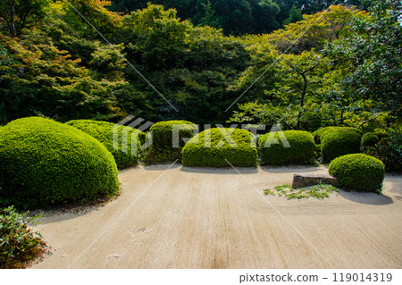 [Kyoto Scenery] Shisendo Temple: A tranquil garden 119014319