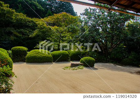 [Kyoto Scenery] Shisendo Temple: A tranquil garden 119014320