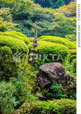 【京都風景】紫仙堂、靜謐的庭園 119014331