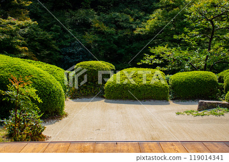 【京都風景】紫仙堂、靜謐的庭園 【京都風景】紫仙堂、靜謐的庭園 119014341