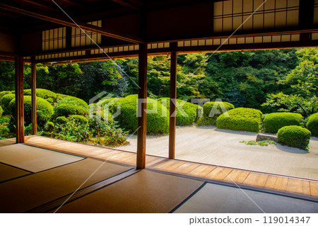 [Kyoto Scenery] Shisendo Temple: A tranquil garden 119014347