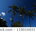 Sky of Hawaii 119014433