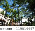 Shopping Malls in Hawaii 119014447
