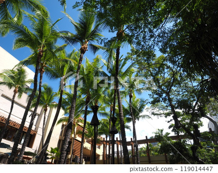 夏威夷購物中心 夏威夷購物中心 119014447