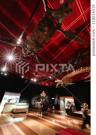 Dinosaur fossils at Iwaki City Coal and Fossil Museum Horuru 119014510