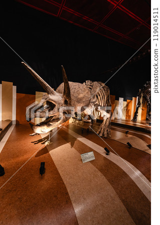 Dinosaur fossils at Iwaki City Coal and Fossil Museum Horuru 119014511