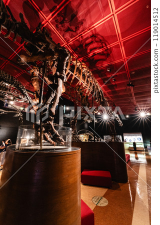 磐城市煤炭化石博物館 Horuru 恐龍化石 磐城市煤炭化石博物館 Horuru 恐龍化石 119014512