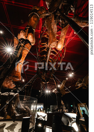 磐城市煤炭化石博物館 Horuru 恐龍化石 磐城市煤炭化石博物館 Horuru 恐龍化石 119014513