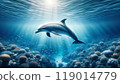 Dolphins swimming underwater 119014779