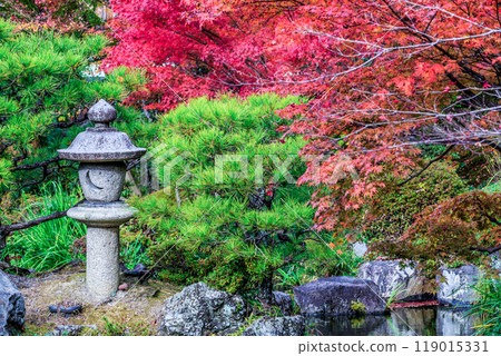 Keitakuen Garden in autumn with beautiful autumn leaves, Tennoji, Osaka, Japan, Japanese garden, Keitakuen garden in Tennoji park at Osaka city, Osaka, Japan. Keitakuen Garden in autumn with beautiful autumn leaves, Tennoji, Osaka, Japan, Japanese garden, Keitakuen garden in Tennoji park at Osaka city, Osaka, Japan. 119015331